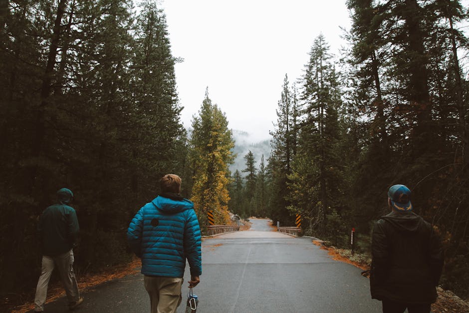 Three adults walking on a road surrounded by lush trees on a foggy day