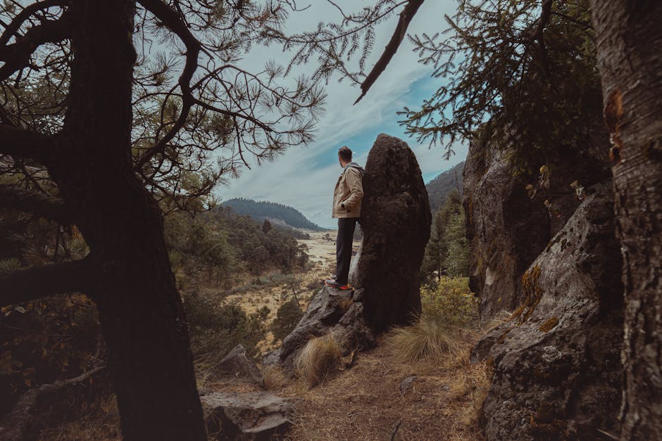 A man stands on a rock amidst trees, gazing at a scenic mountain valley