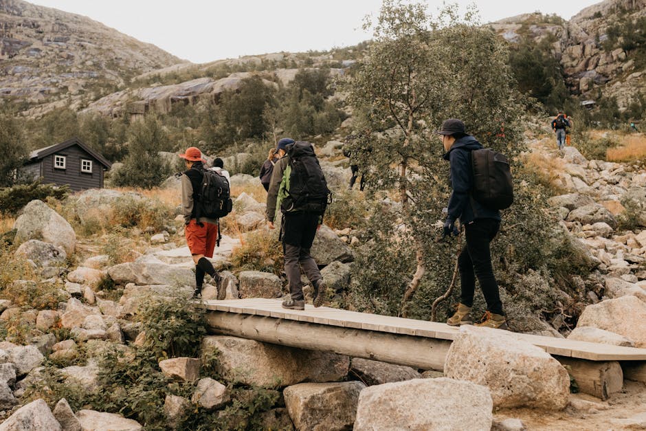 Group of adults hiking over a wooden bridge in a mountainous landscape during summer
